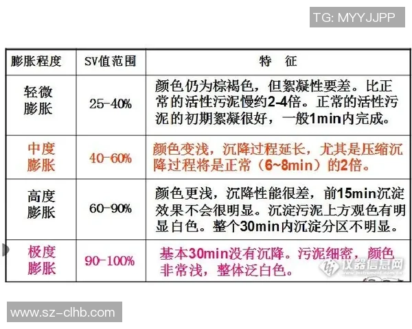 广州排球队在联合会杯中的比赛经验与表现分析